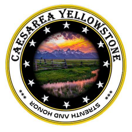 MAIN LOGO CYS-8